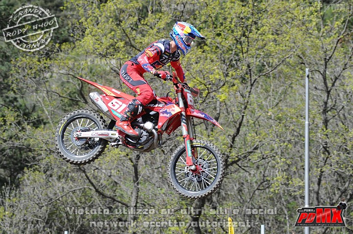 ROB_1595 (Copy).jpg